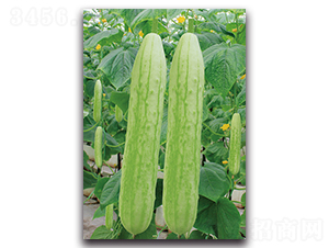 �߈@ʮ��̖-�S�ϷN��-�������r(n��ng)�I(y��)