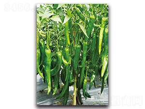 ����Ʒζ��-�����N��-�������r(n��ng)�I(y��)