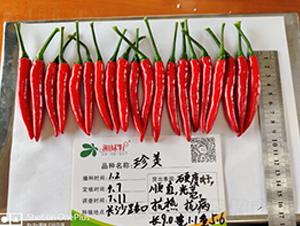 ����-�����N��-�������r(n��ng)�I(y��)