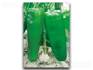 ��������-�����N��-�������r(n��ng)�I(y��)