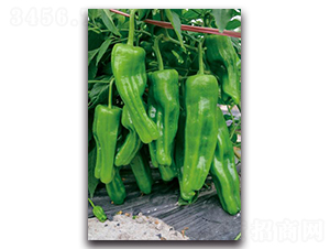 ���-�����N��-�������r(n��ng)�I(y��)