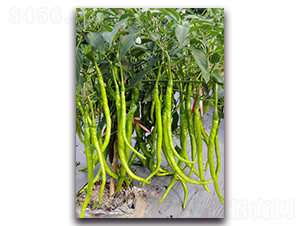 ��G1628-�����N��-�������r(n��ng)�I(y��)