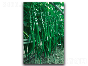 �ھ�118-�����N��-�������r(n��ng)�I(y��)