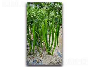 �G��1630-�����N��-�������r(n��ng)�I(y��)