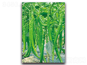 ����99-�����N��-�������r(n��ng)�I(y��)