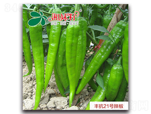 �S��21-�����N��-�������r(n��ng)�I(y��)