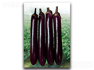 �ϼt�L��-���ӷN��-�������r(n��ng)�I(y��)