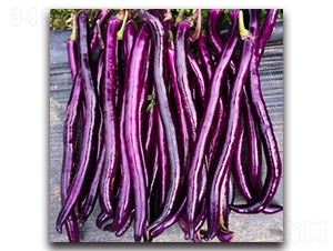 �\��-���ӷN��-�������r(n��ng)�I(y��)