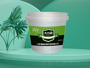 ������-�㶦����