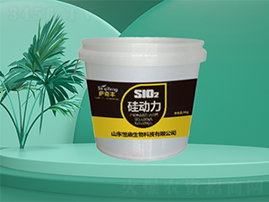 ���(d��ng)��-�㶦����