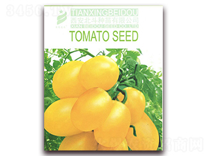 ��������-���ѷN��-����