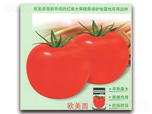 �W���A-���ѷN��-����