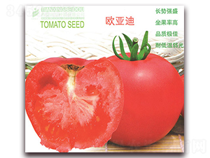 �W����-���ѷN��-����