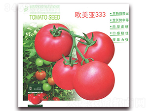 �W����333-���ѷN��-����