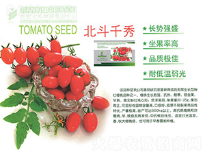 ����ǧ��-���ѷN��-����