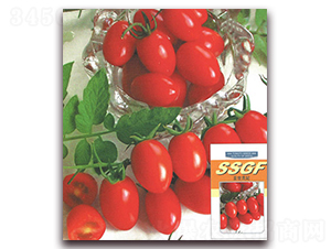 �����F��-���ѷN��-����