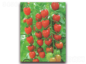 �tõ��-���ѷN��-����