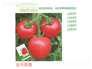 �����ل�-���ѷN��-����