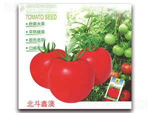 �����ΰ�-���ѷN��-����