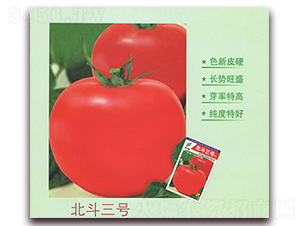 ������̖(h��o)-���ѷN��-����