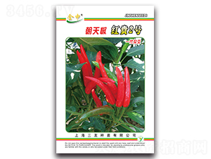 �t�F2̖-�����N��-����