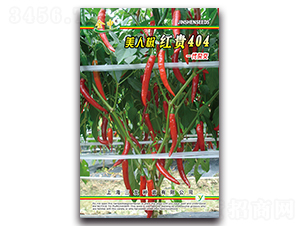 �t�F404-�����N��-����