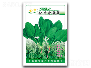 ����С����-���˷N��-����