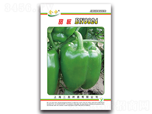 ��BN9824-�����N��-����