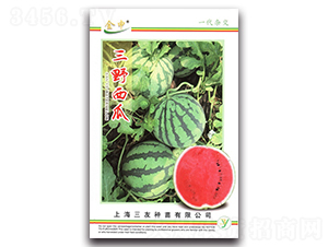 ��Ұ����-���ϷN��-����