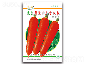 �����º�������˅�-���}���N��-����