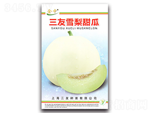 ����ѩ�����-��ϷN��-����