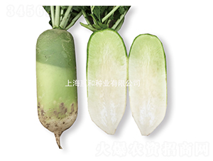 ����-�}���N��-�ݺͷN�I(y��)