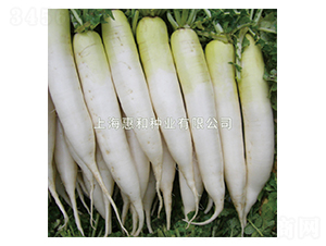 ����-�}���N��-�ݺͷN�I(y��)