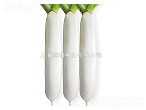 ��ɶ�̖-�}���N��-�ݺͷN�I(y��)