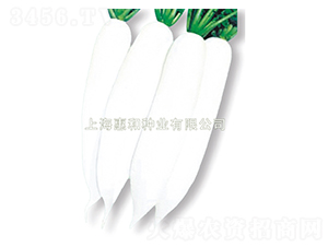 ��ѩ-�}���N��-�ݺͷN�I(y��)