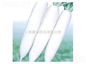 ����ʹ-�}���N��-�ݺͷN�I(y��)