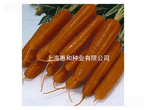 �tʥ��̖-���}���N��-�ݺͷN�I(y��)