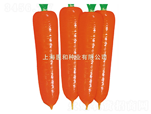 �tʥʮ̖-���}���N��-�ݺͷN�I(y��)