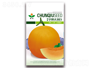 �����ɯ��-��ϷN��-����N�I(y��)