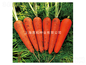 ����˹-���}���N��-�ݺͷN�I(y��)