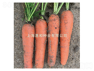 �tʥ��̖-���}���N��-�ݺͷN�I(y��)