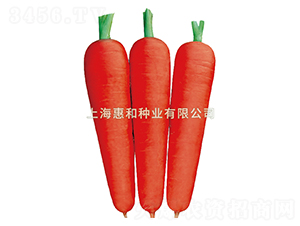 �_��˹һ̖-���}���N��-�ݺͷN�I(y��)