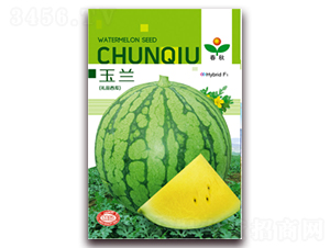 ���m-���ϷN��-����N�I(y��)