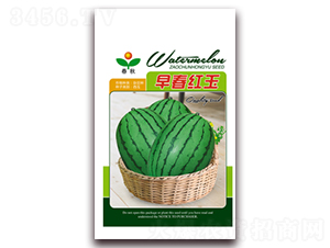 �紺�t��-���ϷN��-����N�I(y��)