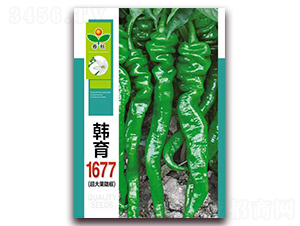 �n��1677-�����N��-����N�I(y��)