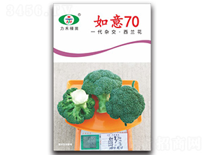 ����70-���m���N��-�����r(n��ng)�I(y��)