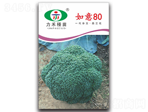 ����80-���m���N��-�����r(n��ng)�I(y��)