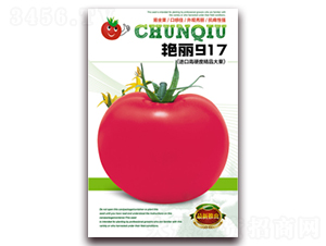 �G��917-���ѷN��-����N�I(y��)