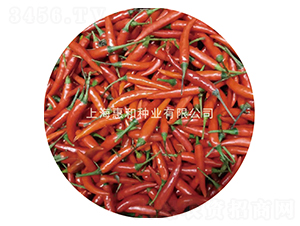 ����-�����N��-�ݺͷN�I(y��)