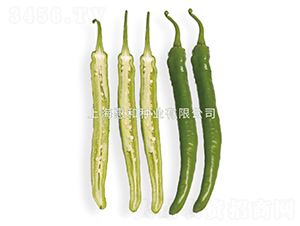 �G������̖-�����N��-�ݺͷN�I(y��)